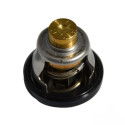 Termostat med packning Johnson Evinrude 40CV_2
