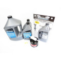 Servicesats Mercury 150 CV EFI SeaPro 4-takts Injektion 100h-3