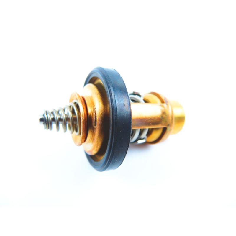 Termostat Suzuki DF5-1