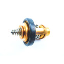 Termostat Suzuki DF5-1