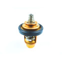 Termostat Suzuki DF5-6