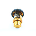 Termostat Suzuki DF5-7