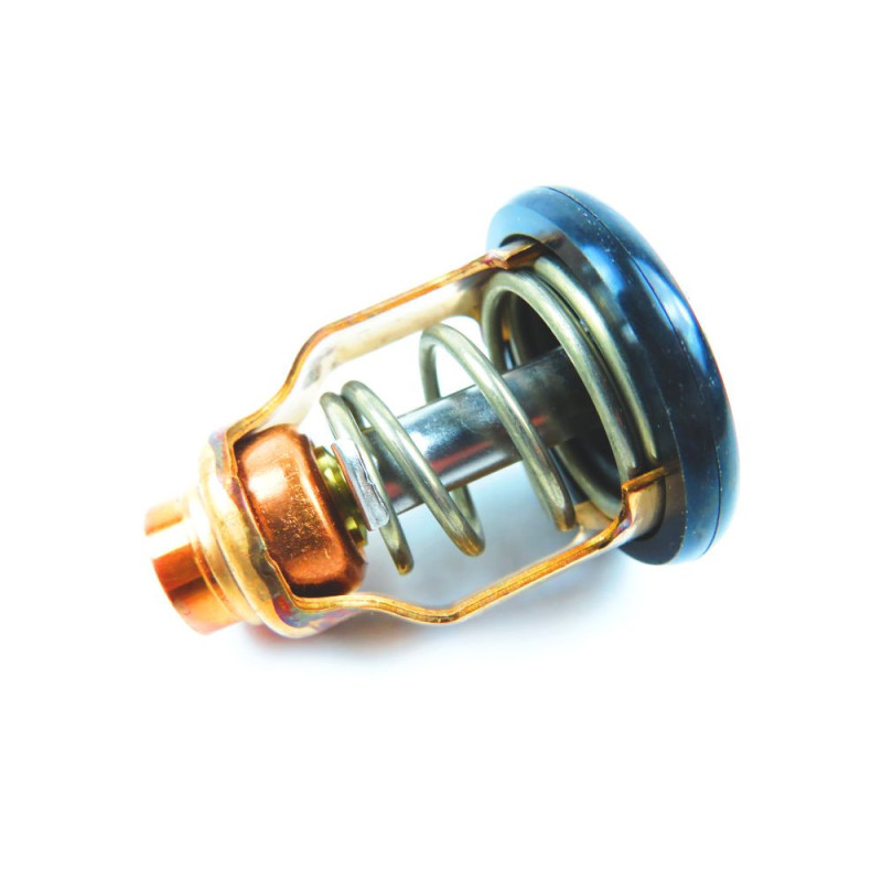 Termostat Suzuki DF90A
