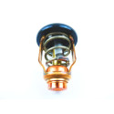 Termostat Suzuki DF90A_5